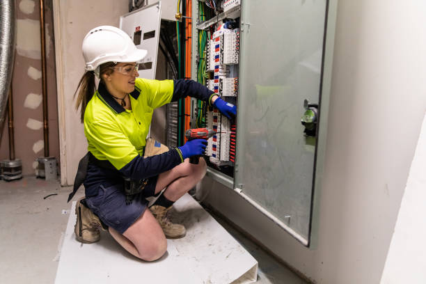 Best Affordable Electrician  in Rosita, TX