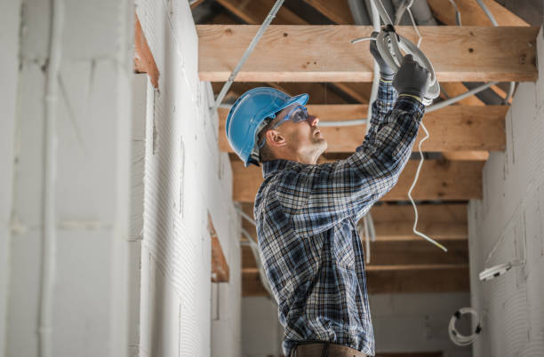 Best Residential Electrician Services  in Rosita, TX