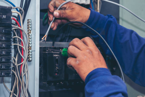 Best Licensed Electrician  in Rosita, TX