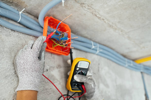 Best Electric Panel Repair  in Rosita, TX